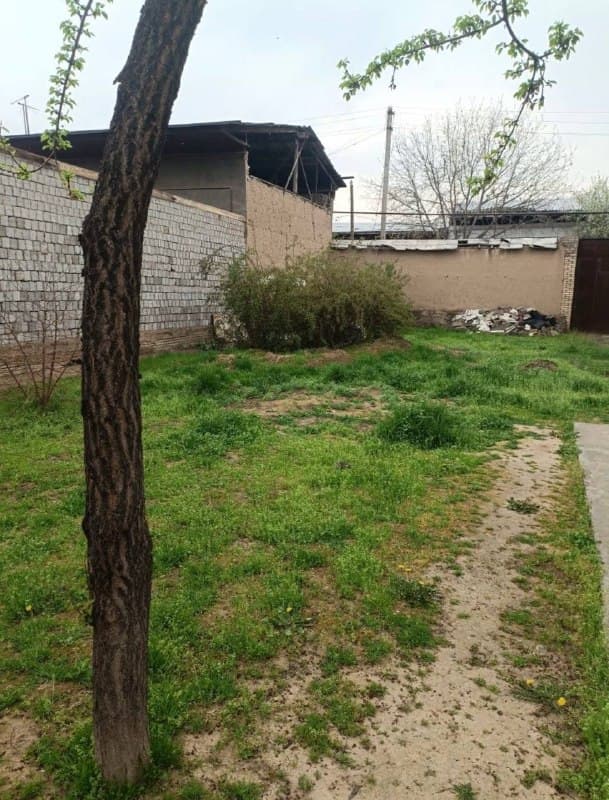 Land · 3 sotix · Qibat, Keles Kirov